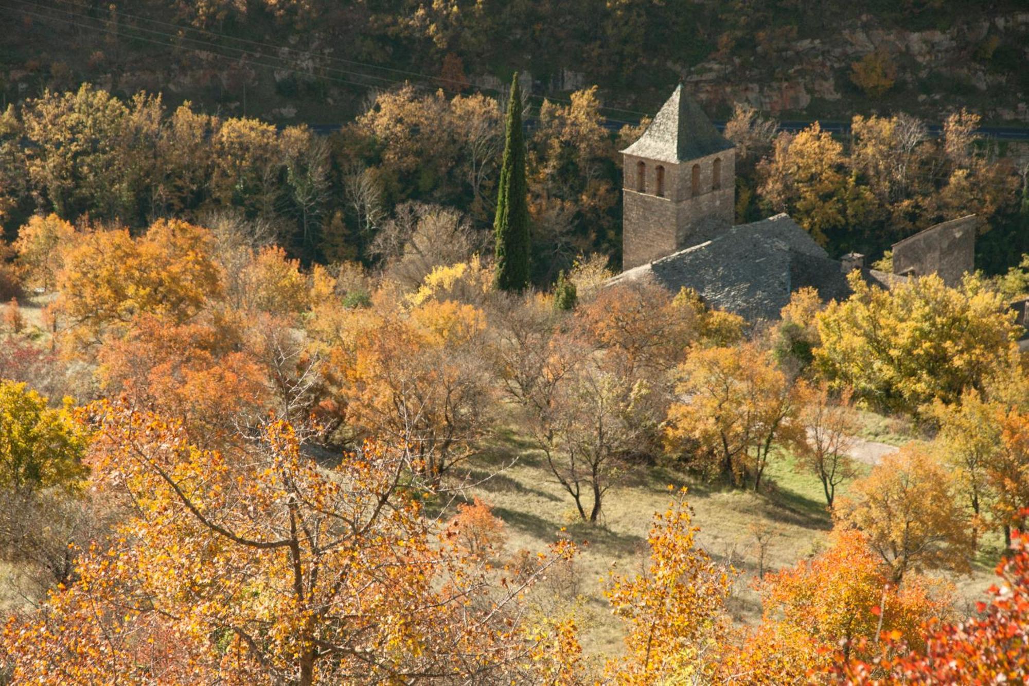 Le Colombier Saint-Veran La Roque-Sainte-Marguerite Luaran gambar