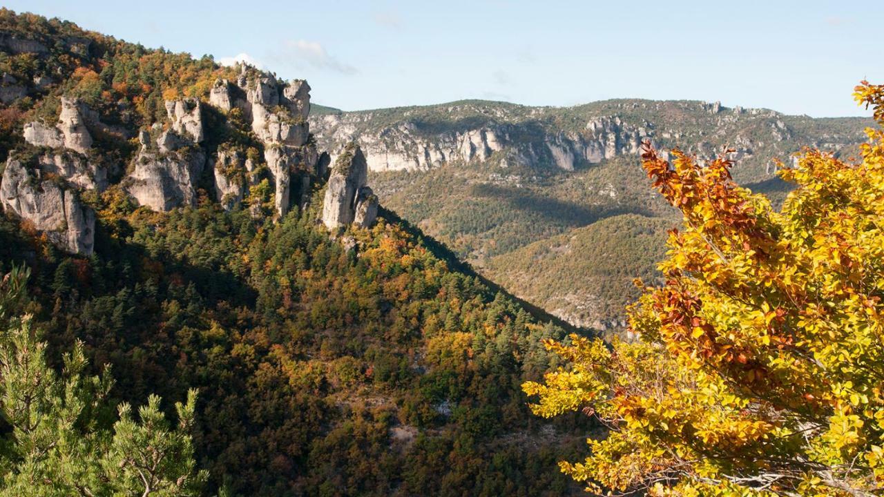 Le Colombier Saint-Veran La Roque-Sainte-Marguerite Luaran gambar